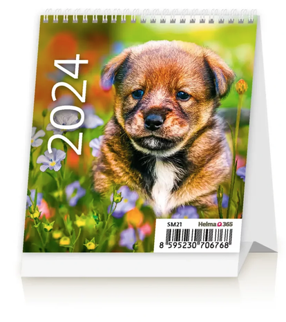 DOPREDAJ Kalendár stolový Mini Puppies mesačný 2024