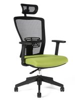Kancelárska stolička THEMIS SP zelená